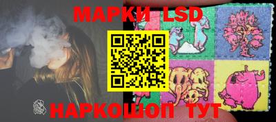 PSILOCYBIN Владимир