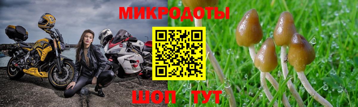 Богородск  Псилоцибиновые грибы Magic Shrooms  Вход с VPN  где купить наркоту  Псилоцибиновые грибы MAGIC MUSHROOMS 